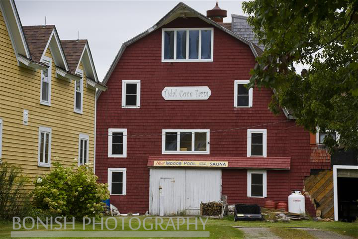 Tidal Cove Farm, Maine, Barn, Bonish Photo