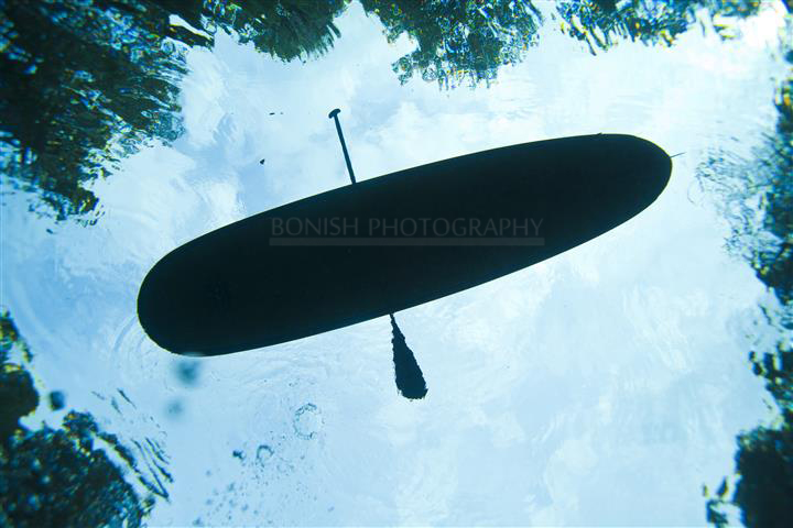 TripleX, SUP, Underwater Photography, Florida, Bonish Photo
