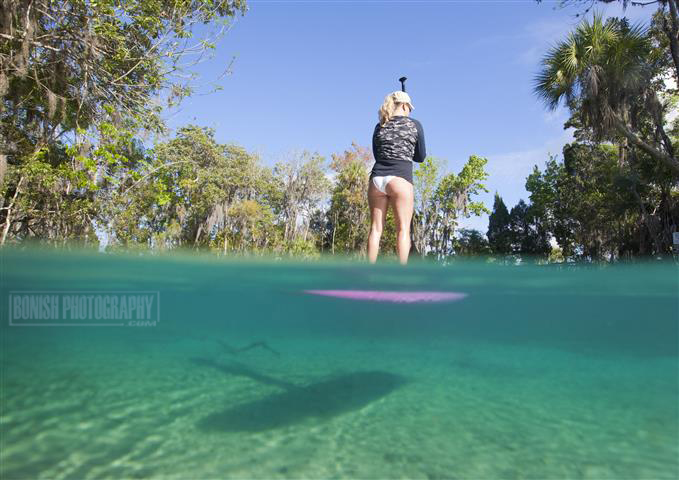Underwater Photography, 3 Sisters Spring, Florida, Bonish Photo, Aquatech