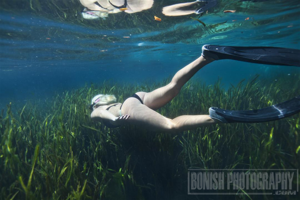 Amanda Gilbert, Underwater Photography, Bonish Photo