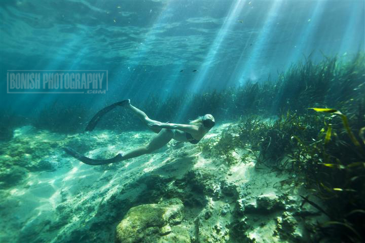 Underwater Photography, Amanda Gilbert, Bonish Photo, Juniper Springs
