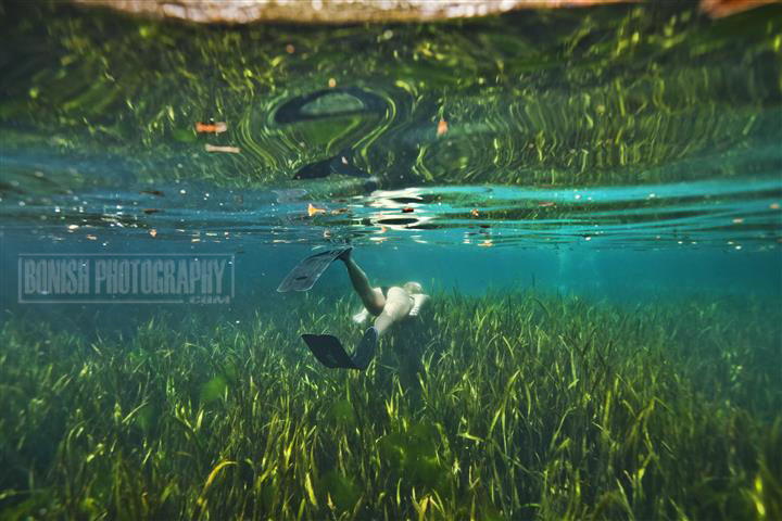 Juniper Springs, Underwater Photography, Bonish Photo, Amanda Gilbert