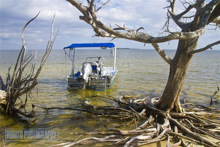 Seahorse Key, Florida Boating, Cedar Key, Bonish Photo