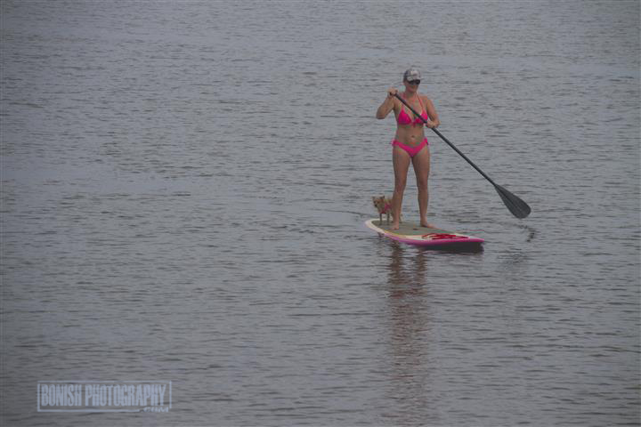 Paddle Boarding, Bikini, Florida, Bonish Photo, Cindy Bonish