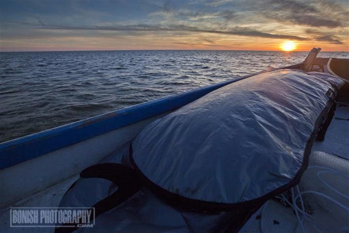 Triple X Surfboards, Paddle Boards, Florida, Boating, Bonish Photo