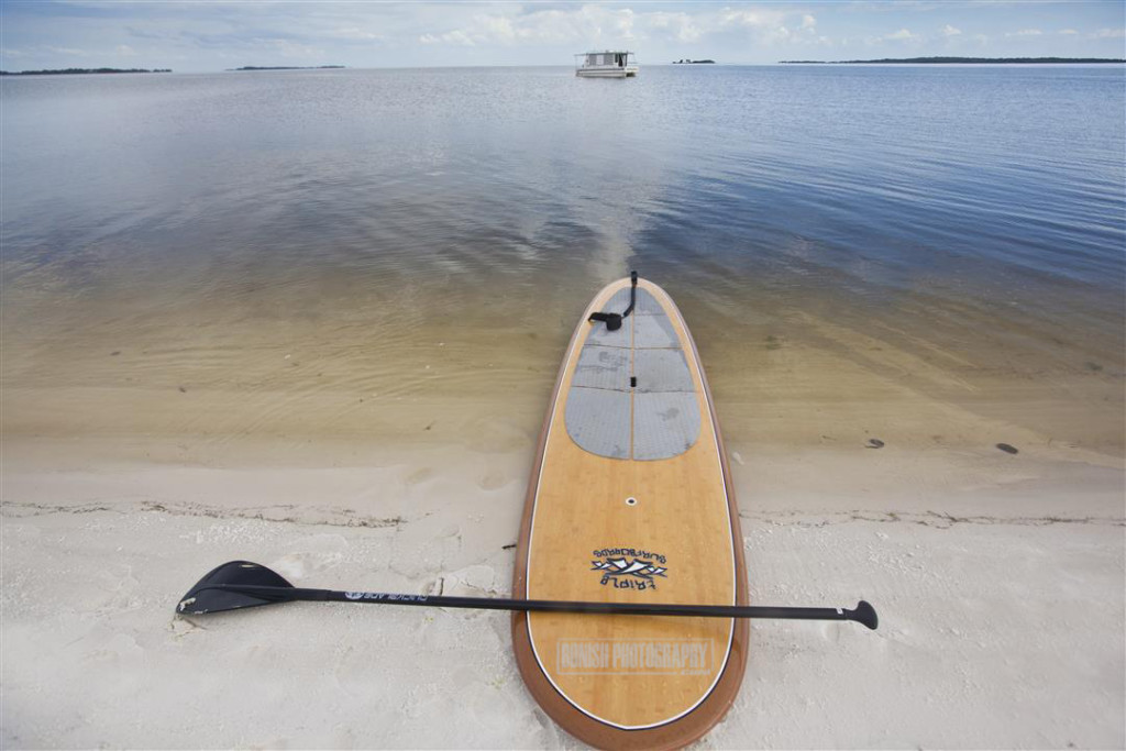 Stand Up Paddle Boarding, Houseboat, Catamaran Cruiser, Bonish Photo, Catamaran Cruiser, Trailerable Houseboat