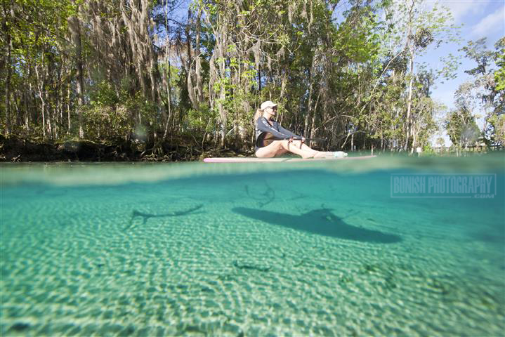 Split Shot, Underwater Photography, Bonish Photo, Florida, 3 Sisters Spring