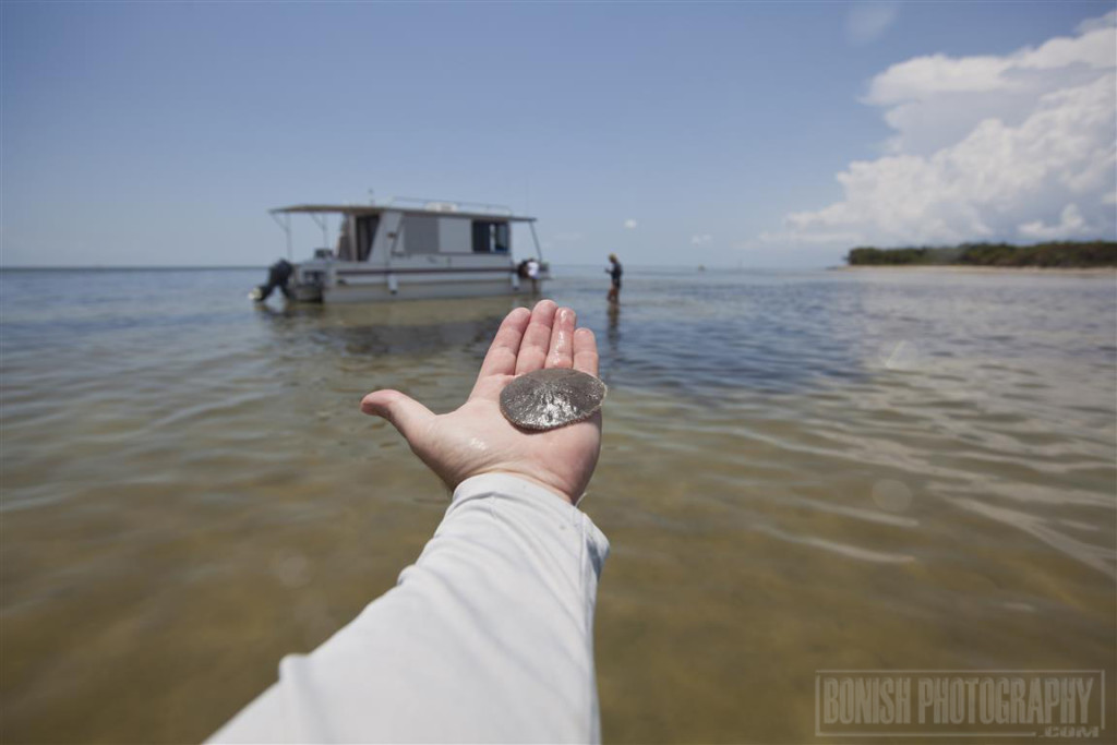 Sand Dollar, Houseboat, Florida Boating, Bonish Photo, Catamaran Cruiser, Trailerable Houseboat