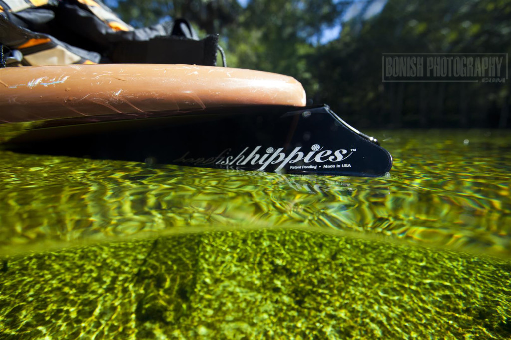 Poe Springs, Bonefish Hippies, Paddle Boarding, Bonish Photo, Underwater Photography, Every Miles A Memory