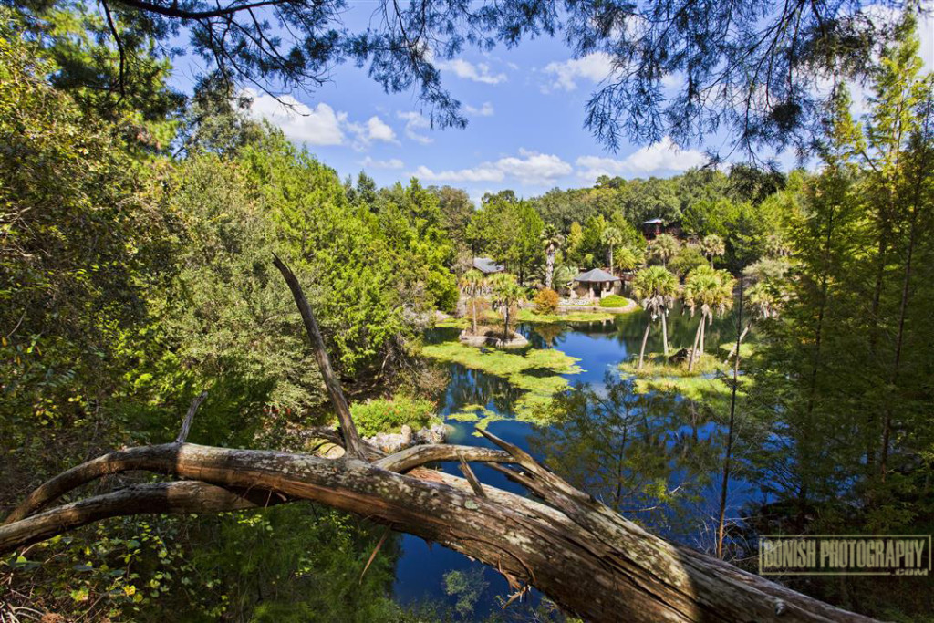 Cedar Lakes Woods & Gardens, Williston, Florida, Every Miles A Memory, Travel, Bonish Photo