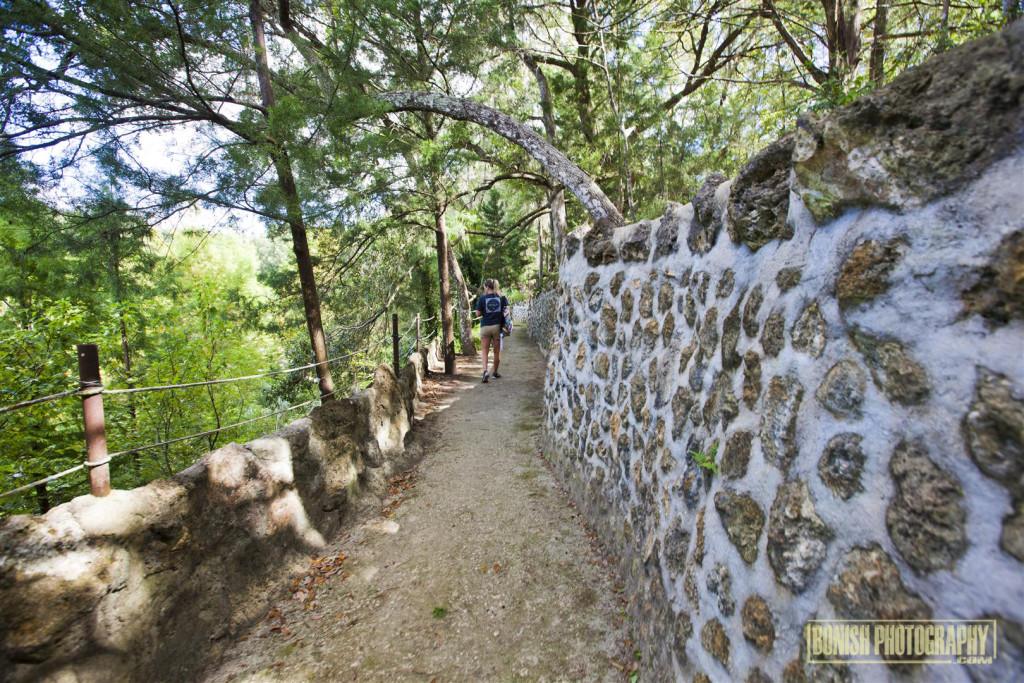 Cedar Lakes Woods & Gardens, Williston, Florida, Every Miles A Memory, Travel, Bonish Photo