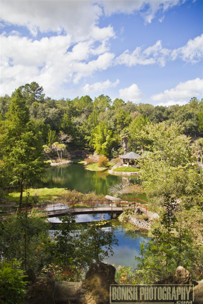 Cedar Lakes Woods & Gardens, Williston, Florida, Every Miles A Memory, Travel, Bonish Photo