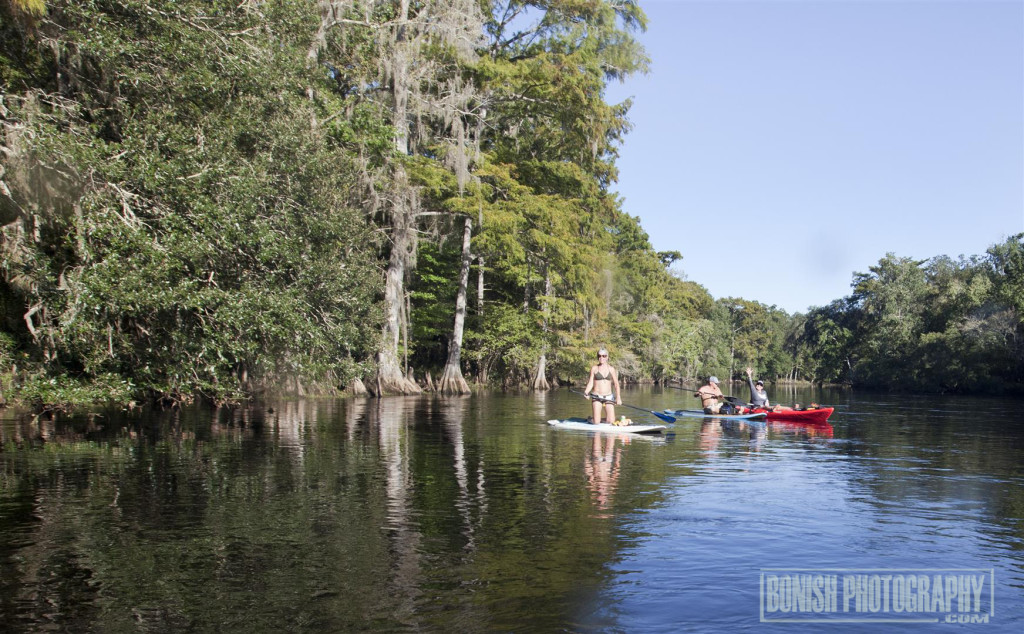 Santa Fe River, Kayaking, Paddle Boarding, Bonish Photo, Every Miles A Memory, 