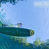 Paddle Boarding, Stand Up Paddle Boarding, Underwater Photography, Bonish Photo, Every Miles A Memory, Matua Surf Co,