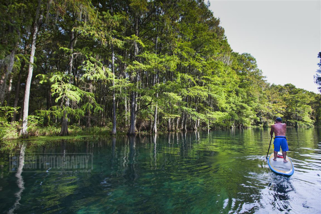 Stand Up Paddling, Rainbow River, Bonish Photo, Every Miles A Memory