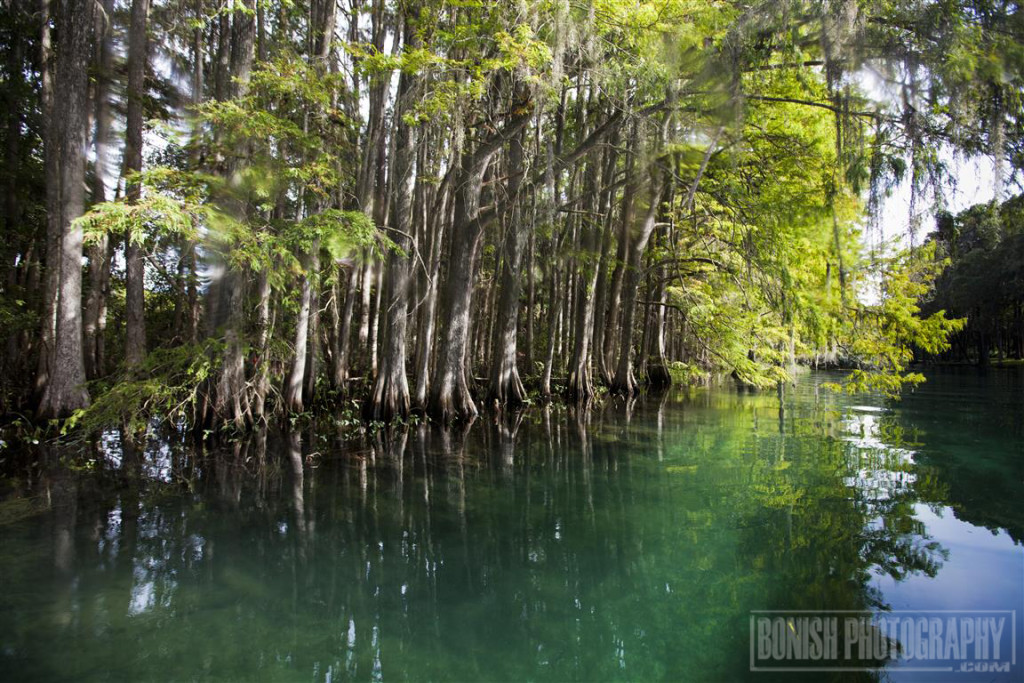 Rainbow River, Bonish Photo, Every Miles A Memory