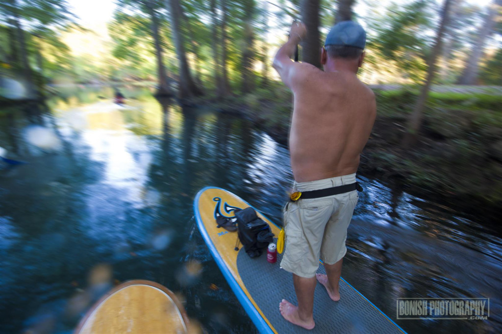 Paddling, Stand Up Paddle Boarding, Santa Fe River, Bonish Photo, Every Miles A Memory