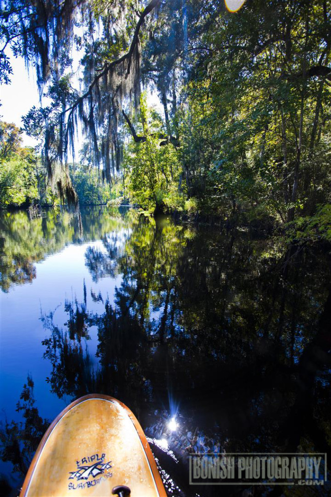 Santa Fe River, Stand Up Paddle, Paddle Boarding, Every Miles A Memory, Bonish Photo