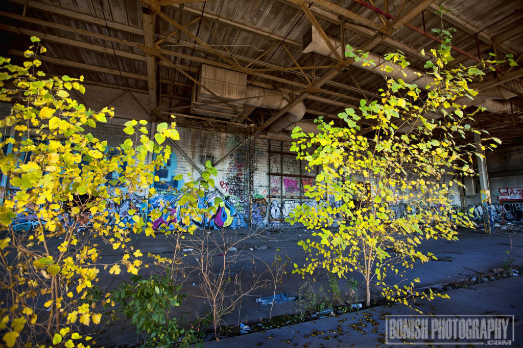 Abandoned, Detroit, Bonish Photo, Graffiti, URBEX
