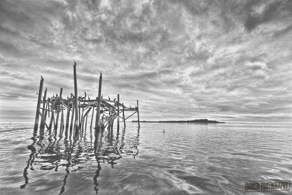 Cedar Key, Honeymoon Cottage, Thomas Guest House, Bonish Photo