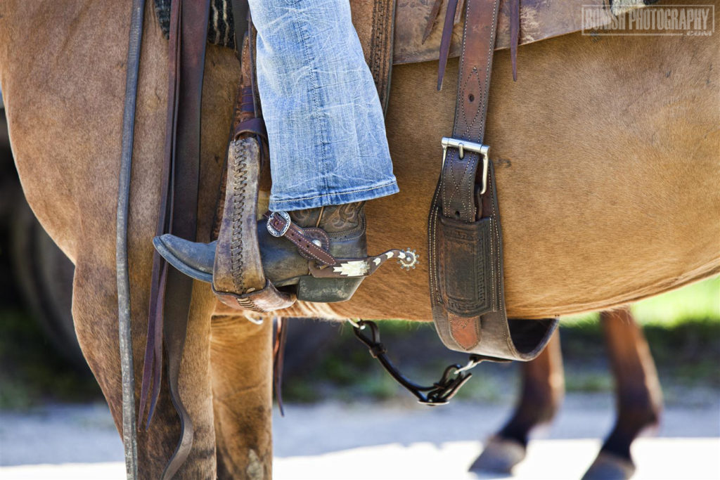 Cowboy, Saddled Up, Bonish Photo