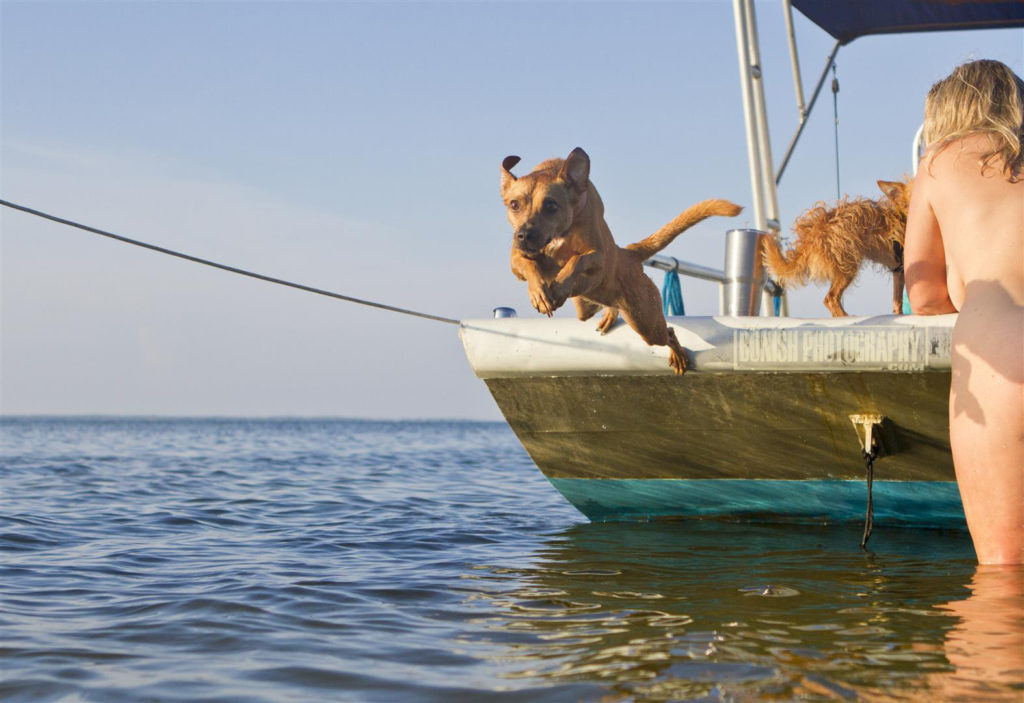 Florida Boating, Naked Boating, Skinny Dipping, Bonish Photo, Swimming Dog