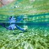Mermaids, Bonish Photo, Florida Springs,