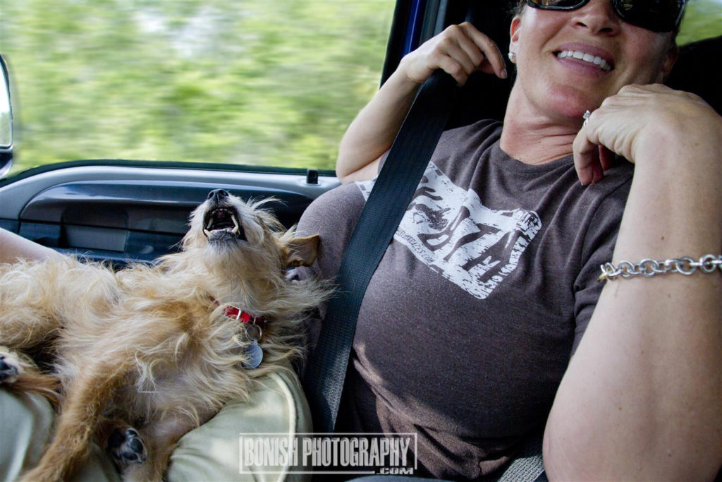 Dog, Cindy Bonish, Bonish Photo, Rock Bottom