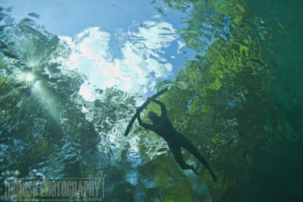 Manatee Springs, Underwater Photography, Bonish Photo