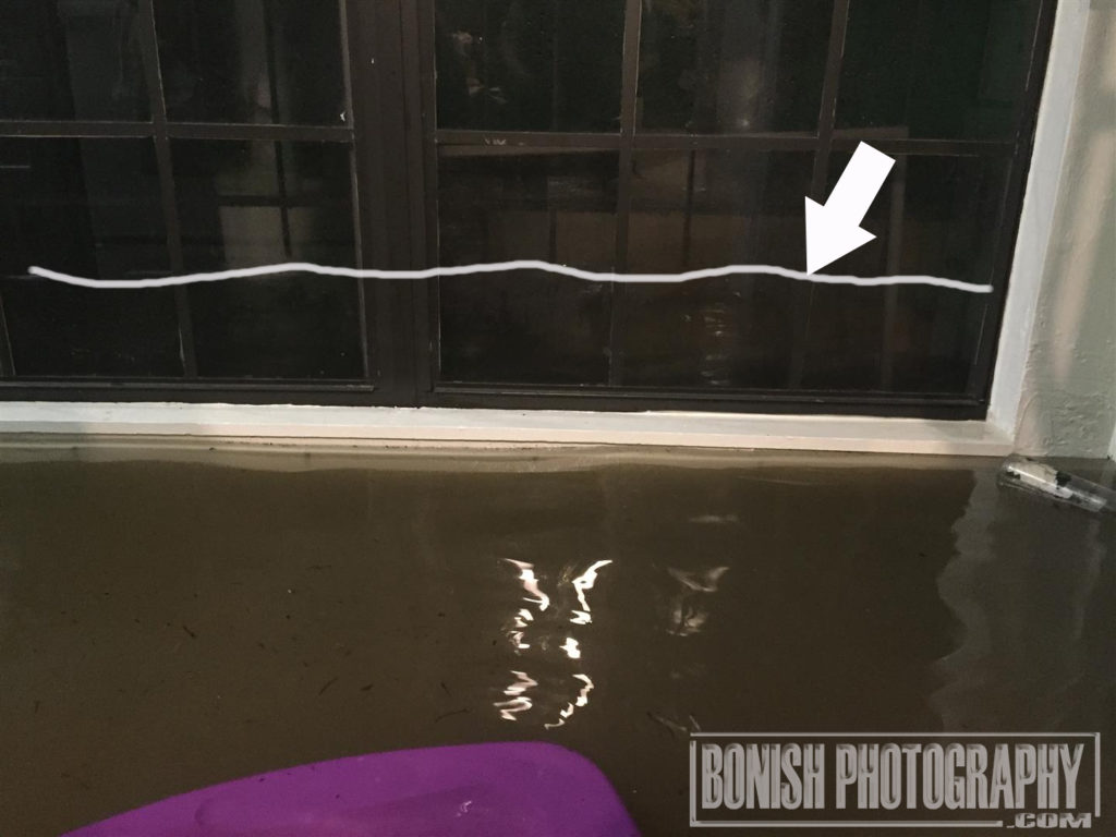 Flooding, Bonish Photo, Cedar Key