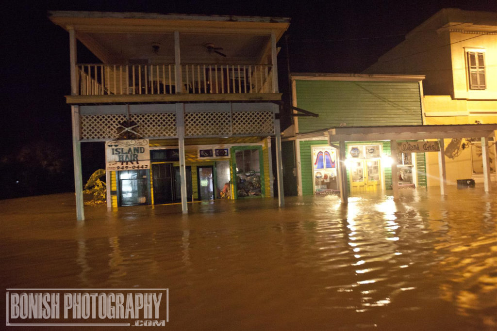 Hurricane hermain, Cedar Key, Bonish Photo
