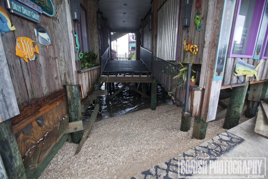 Harbor Master Suites, Hurricane Hermain, Cedar Key, Bonish Photo