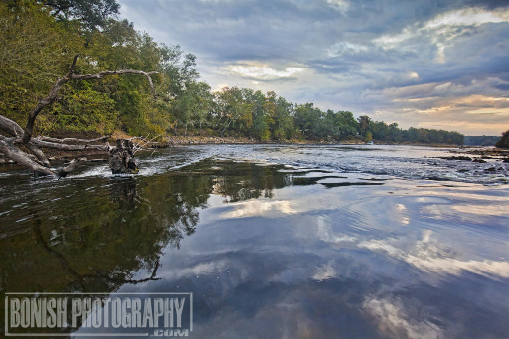 Suwannee River, Bonish Photo, Florida Boating