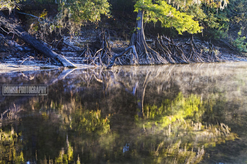 Suwannee River, Florida Boating, Bonish Photo