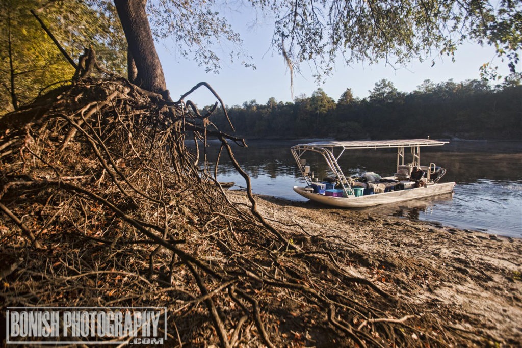 Suwannee River, Florida Boating, Bonish Photo