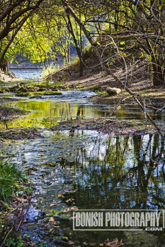 Florida Springs, Bonish Photo, 